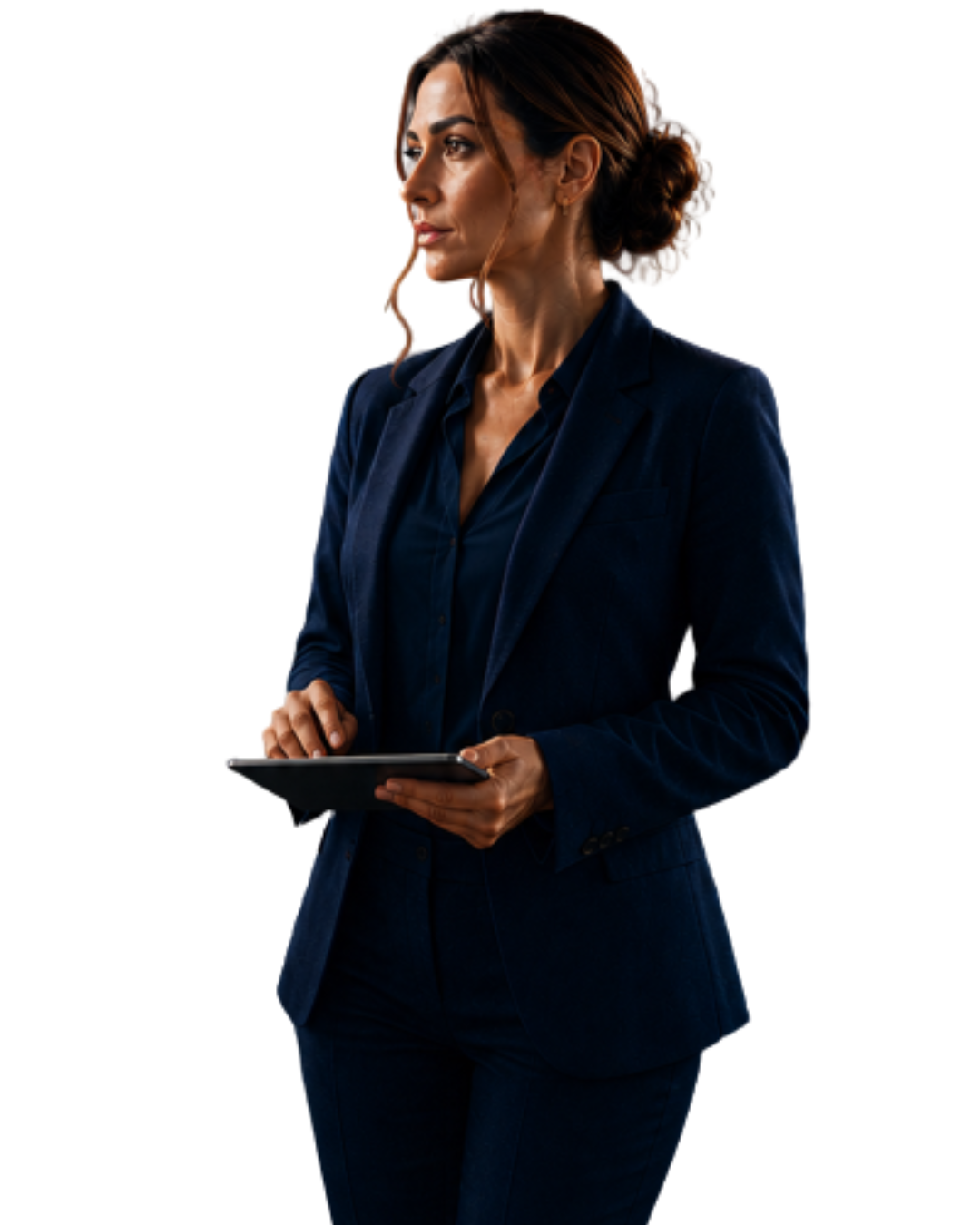 Directora de Mástil Norte